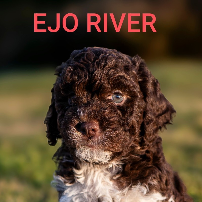 Ejo River