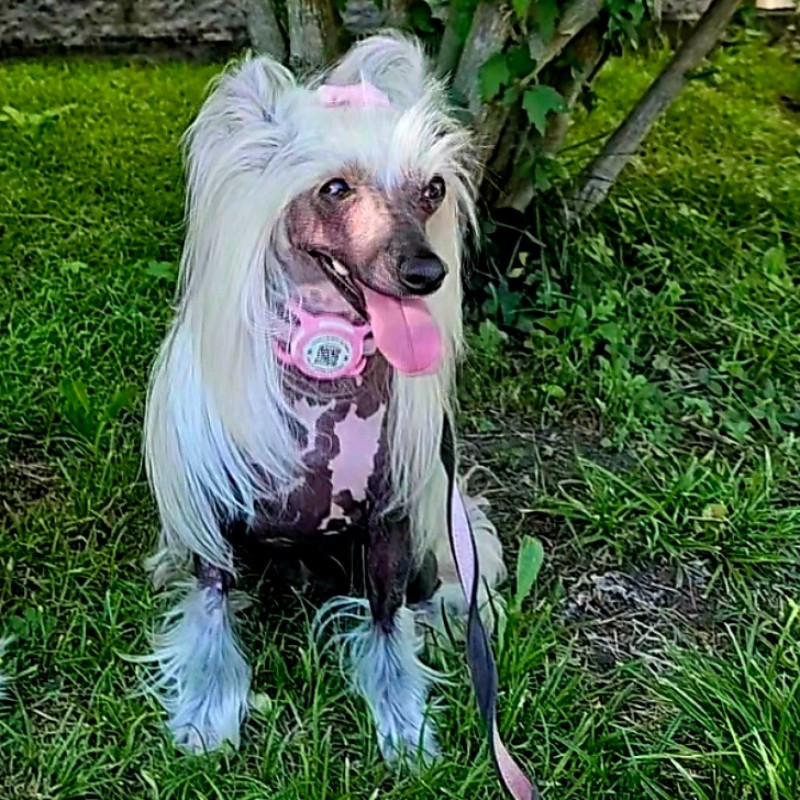Sissinka 