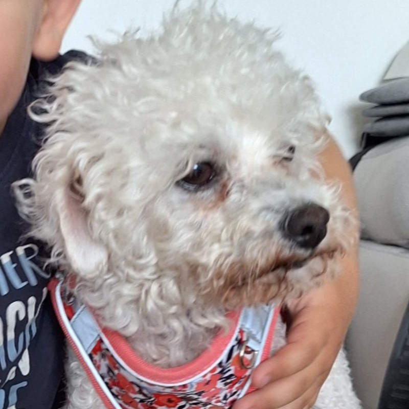 paníček Kateřina V. 🐩 Barunka