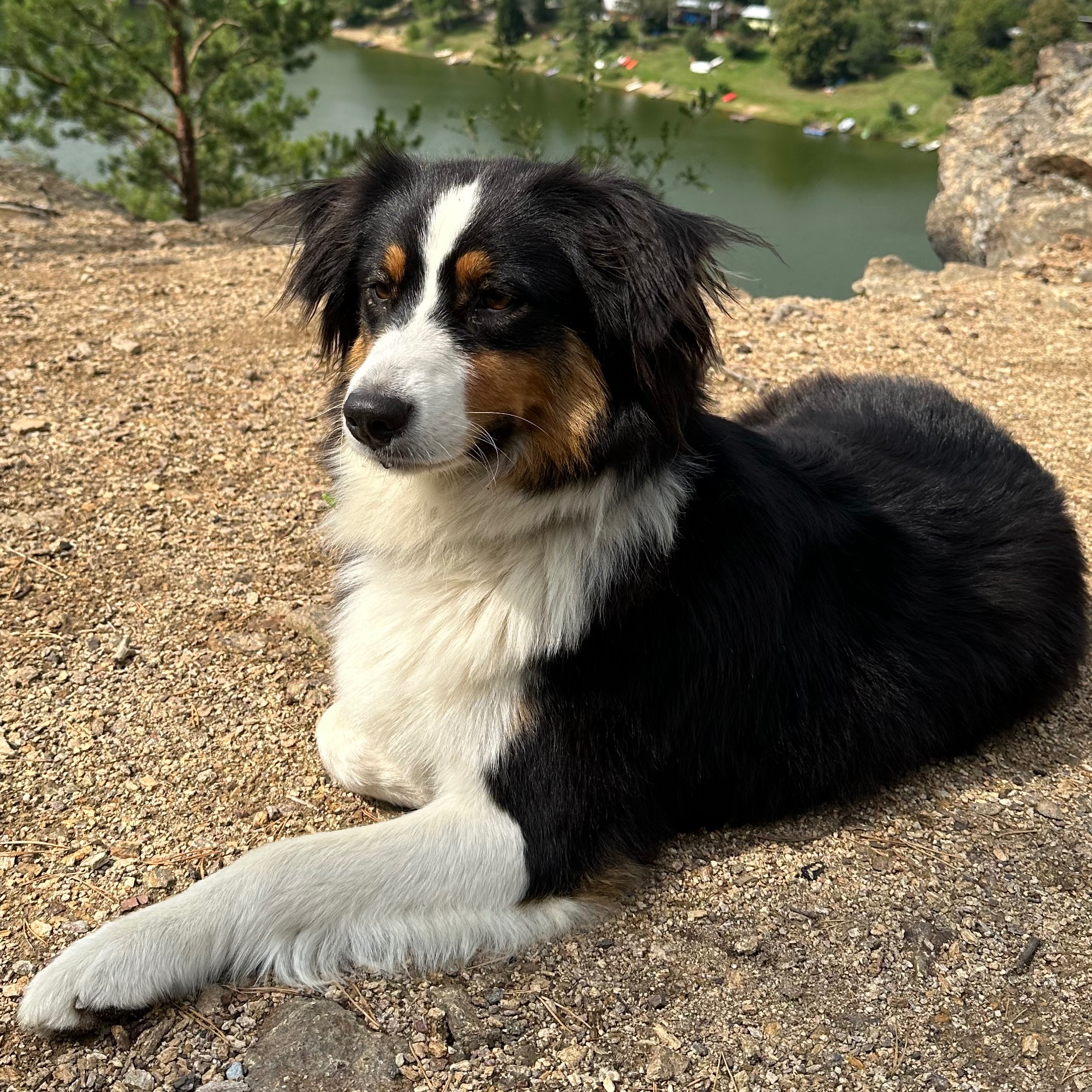 Pes Luna